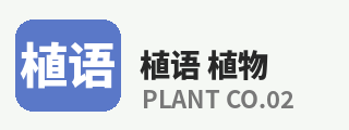 暗网