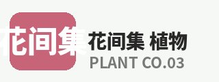 暗网