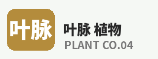 暗网