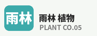 暗网
