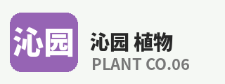 暗网